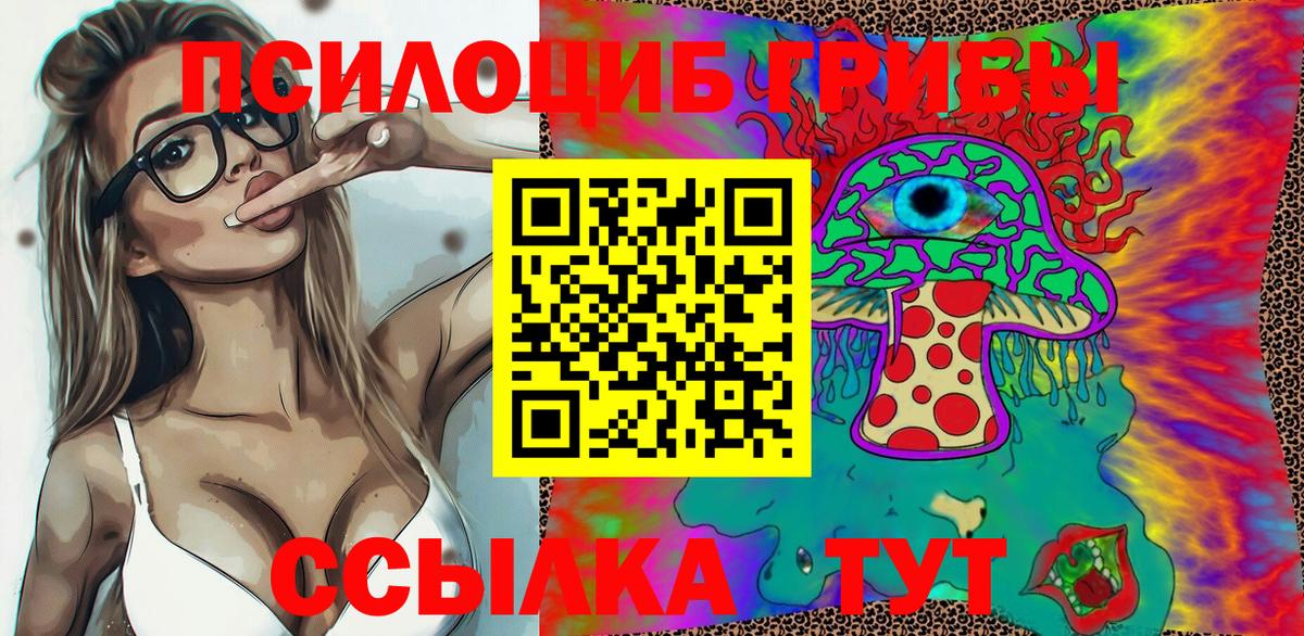 Псилоцибиновые грибы Cubensis Лыткарино