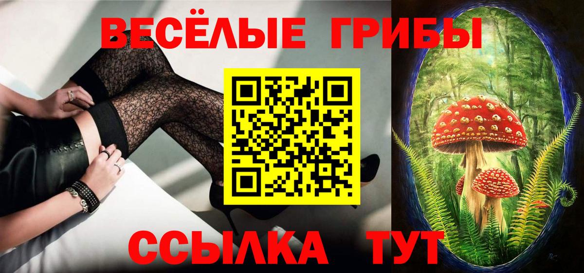 Псилоцибиновые грибы Psilocybine cubensis  Галлюциногенные грибы ЛСД  Лыткарино  Вход с VPN 